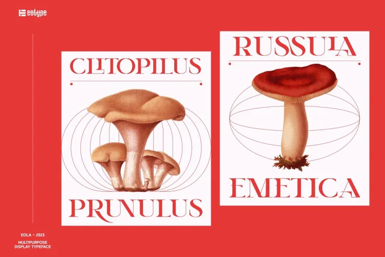 Eola Font preview 2 – Serif Fonts font sample