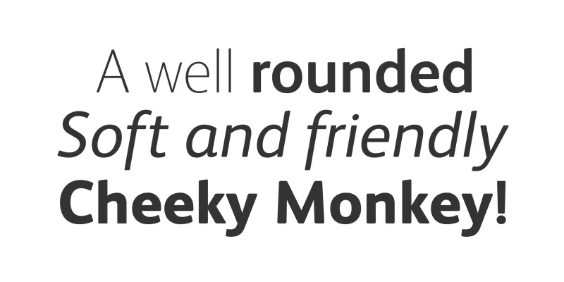 FS Albert Font preview 2 – Sans Serif Fonts font sample