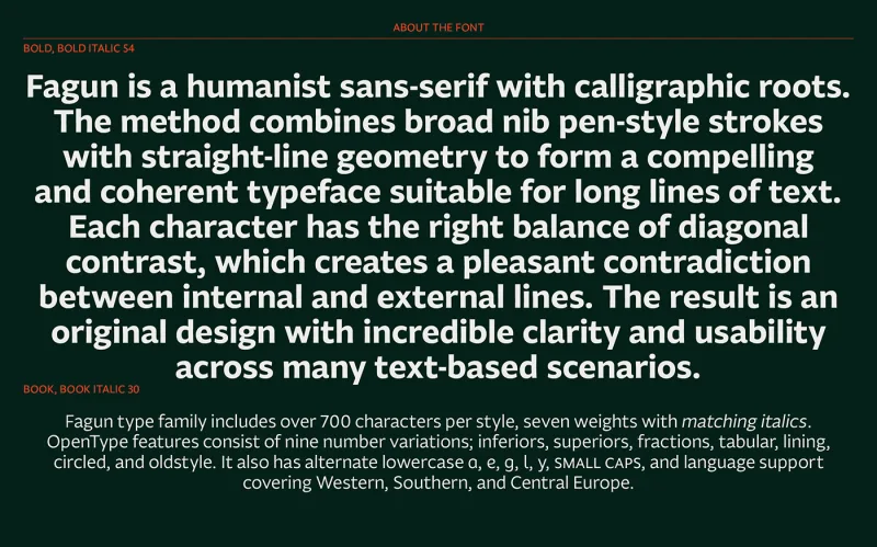 Fagun Font Family preview 4 – Sans Serif Fonts font sample