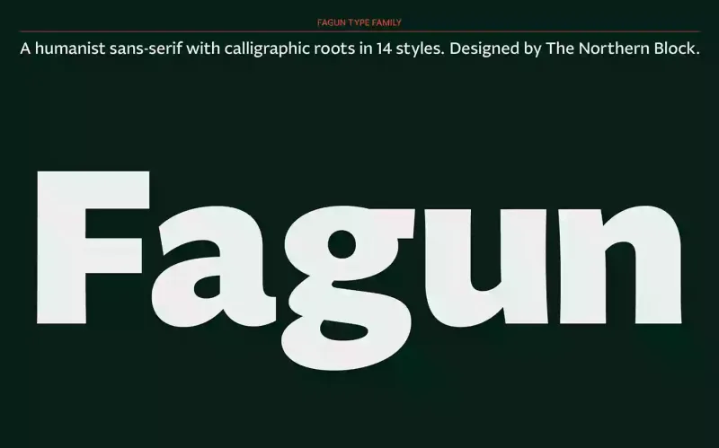 Fagun Font Family preview 9 – Sans Serif Fonts font sample