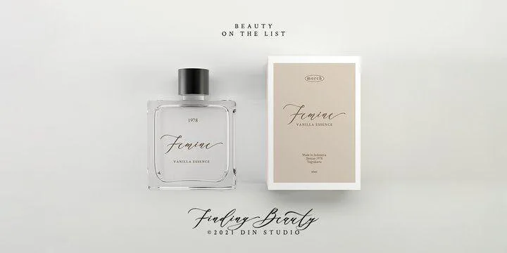 Finding Beauty Font preview 2 – Script And Handwritten font sample