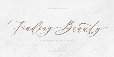 Finding Beauty Font free download – Branding font preview