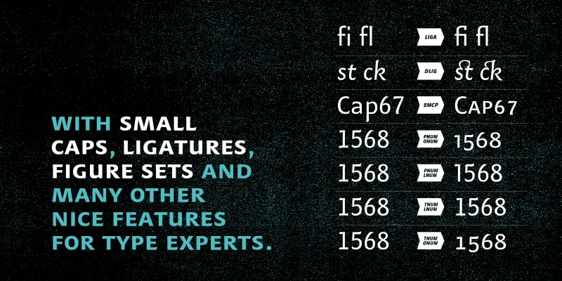Finn Font Family preview 2 – Sans Serif Fonts font sample
