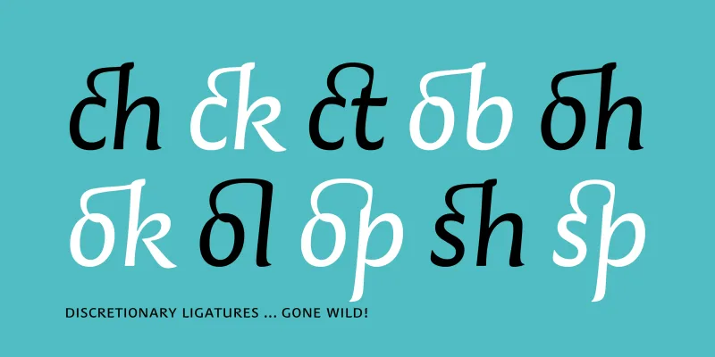 Finn Font Family preview 4 – Sans Serif Fonts font sample
