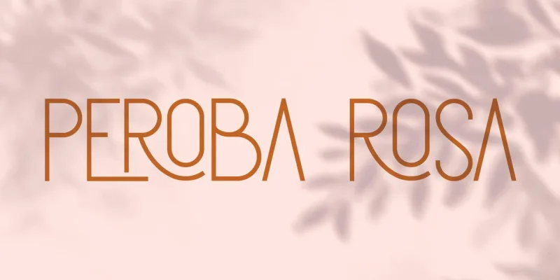 Florida Rose Font preview 8 – Display Fonts font sample
