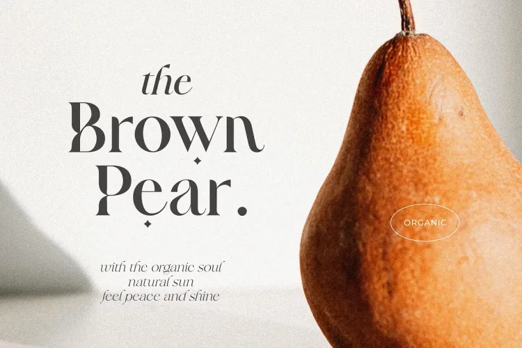 Frunchy Sage Font preview 3 – Serif Fonts font sample