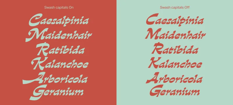 Gardez Font preview 2 – Display Fonts font sample