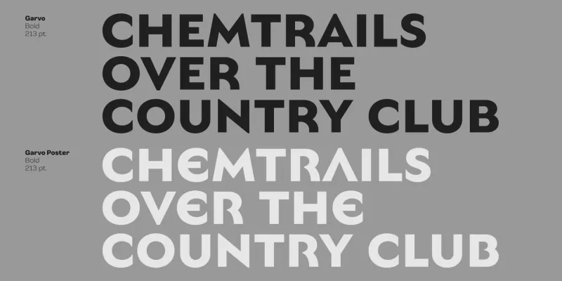 Garvo Font Family preview 6 – Font Family font sample