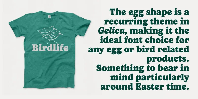 Gelica Font preview 2 – Serif Fonts font sample