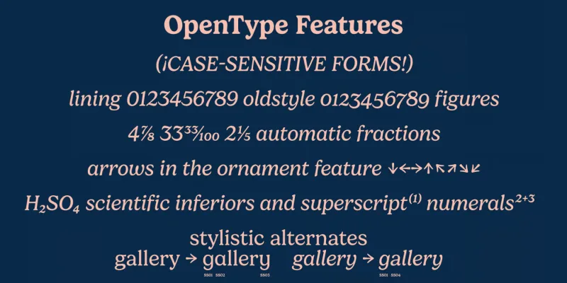 Gelica Font preview 4 – Serif Fonts font sample