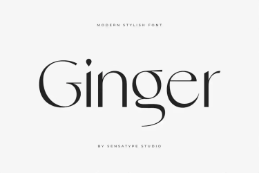 Ginger Font free download – Serif Fonts font preview