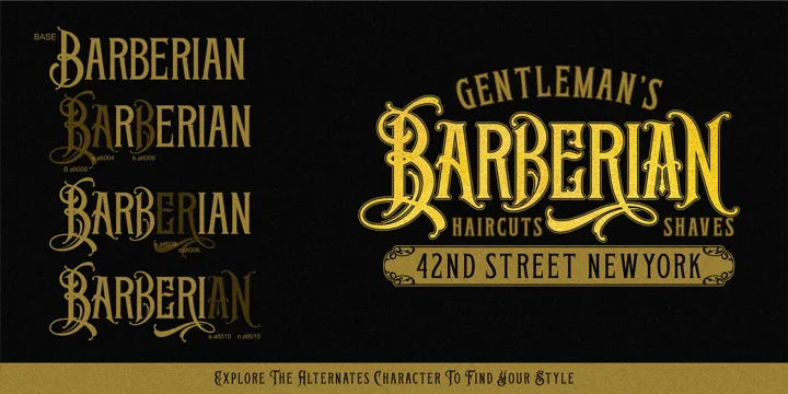 Goldshine Font Family preview 3 – Font Family font sample