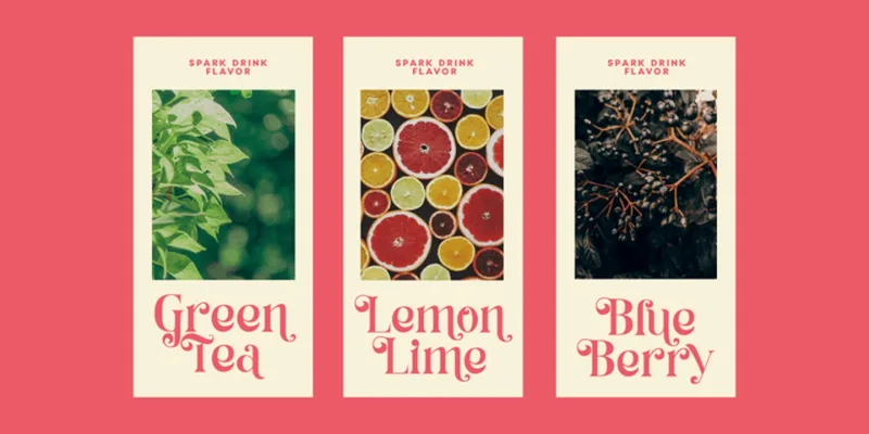 Habita Scenic Font Family preview 4 – Serif Fonts font sample