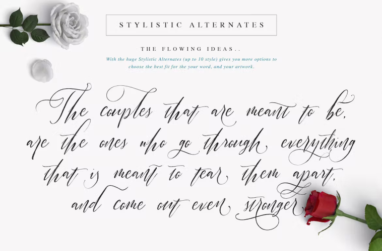 Halosense Script Font free download preview 3 – Script And Handwritten font