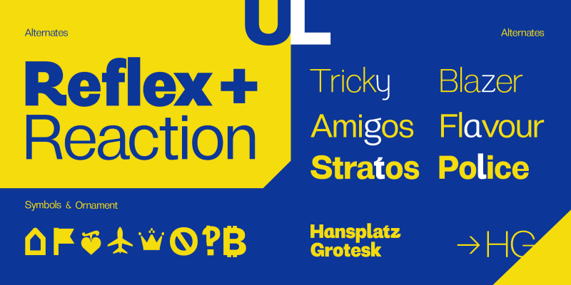 Hansplatz Grotesk Font Family free download preview 6 – Sans Serif Fonts font