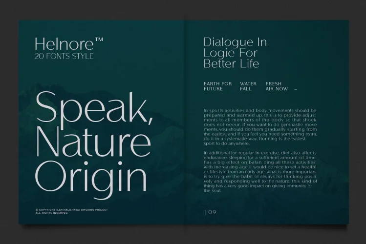 Helnore Font preview 1 – Serif Fonts font sample
