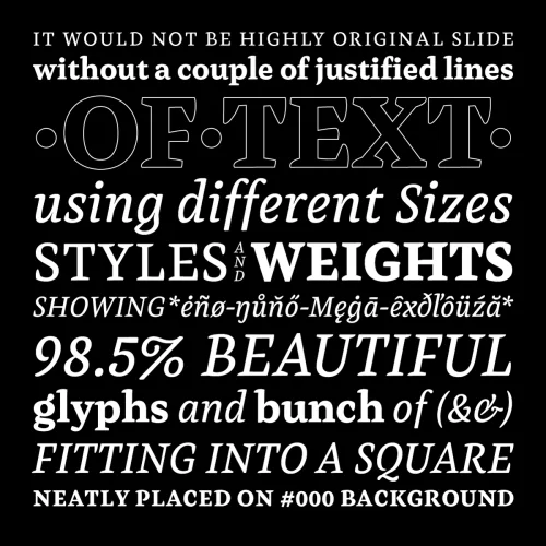 Henk Work Font preview 6 – Serif Fonts font sample