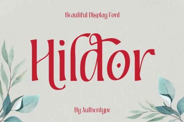 Hildor Beautiful Display Font free download – Hildor font preview
