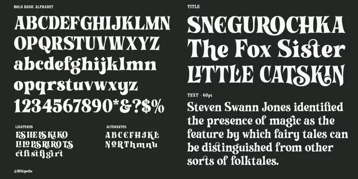 Histories Font preview 7 – Font Family font sample