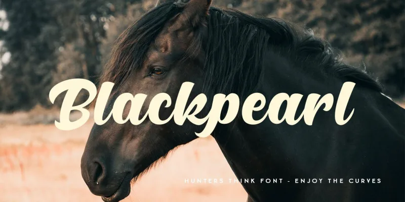 Hunters Think Font preview 5 – Script And Handwritten font sample