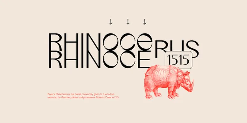 IF Durer Display Font preview 9 – Modern Fonts font sample
