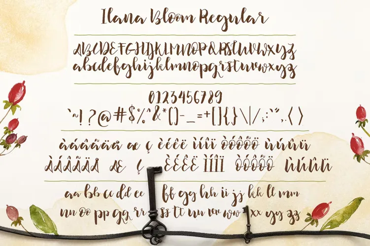Ilana Bloom Font preview 2 – Sans Serif Fonts font sample
