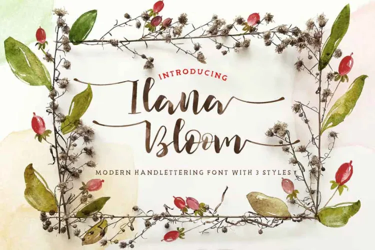 Ilana Bloom Font preview 3 – Sans Serif Fonts font sample