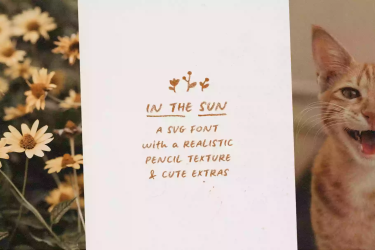In The Sun Handwritten SVG Font free download – Branding font preview
