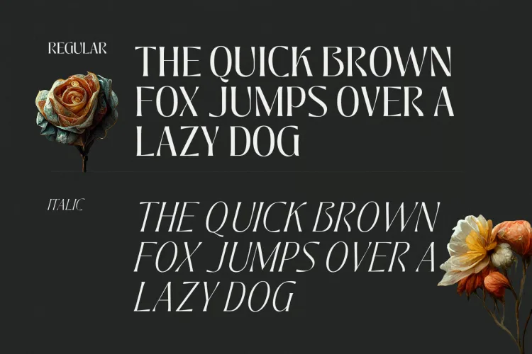 Jedira Font preview 2 – Serif Fonts font sample