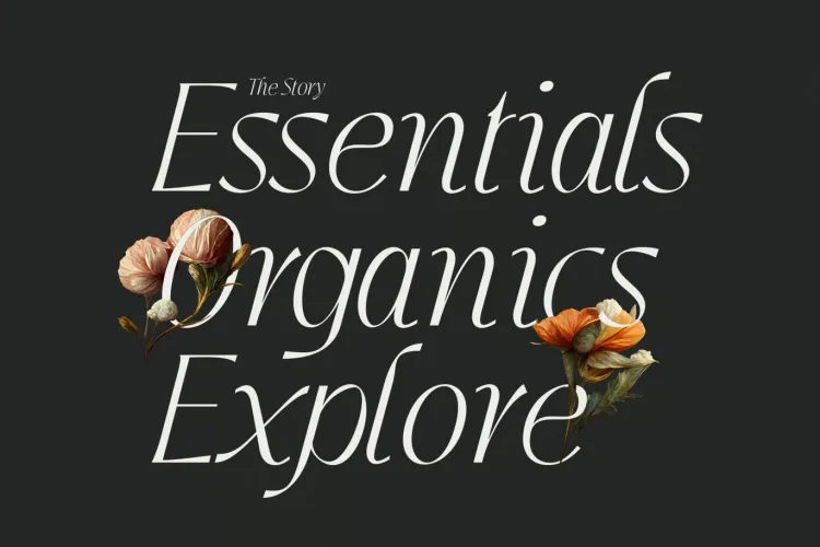 Jedira Font preview 3 – Serif Fonts font sample