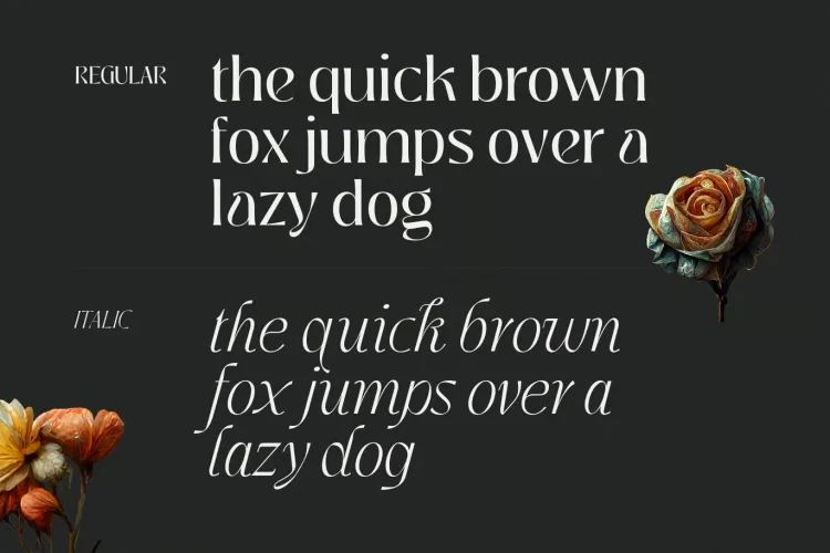 Jedira Font preview 4 – Serif Fonts font sample