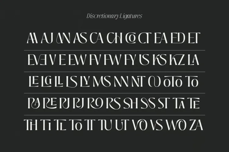 Jedira Font preview 8 – Serif Fonts font sample