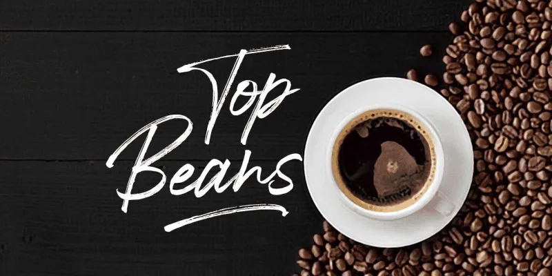 Jengotan Font Family preview 3 – Brush Fonts font sample