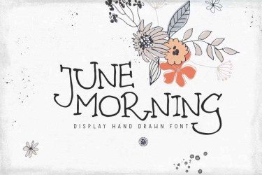 June Morning Font free download – Branding font preview