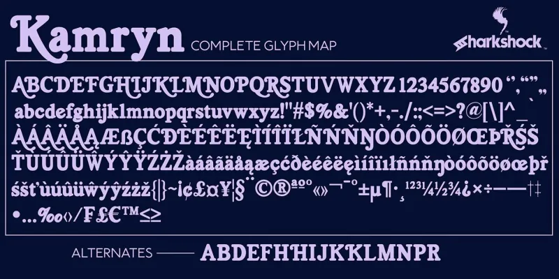 Kamryn Font Family preview 2 – Font Family font sample