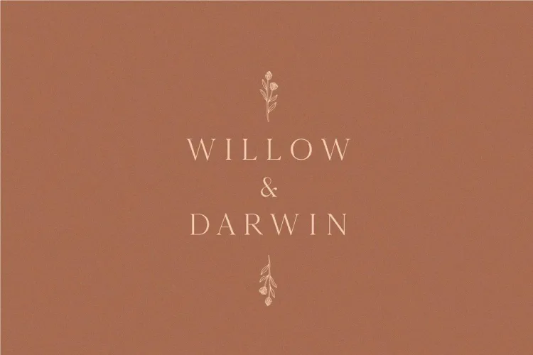 Kinfolk Font preview 1 – Serif Fonts font sample