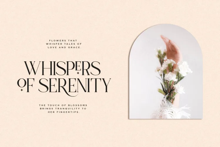 Koela – Modern Serif Font preview 3 – Serif Fonts font sample