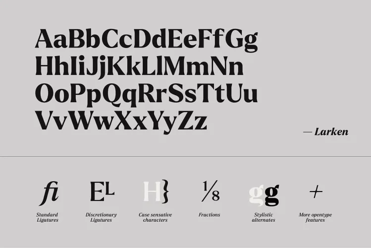 Larken Font preview 10 – Serif Fonts font sample