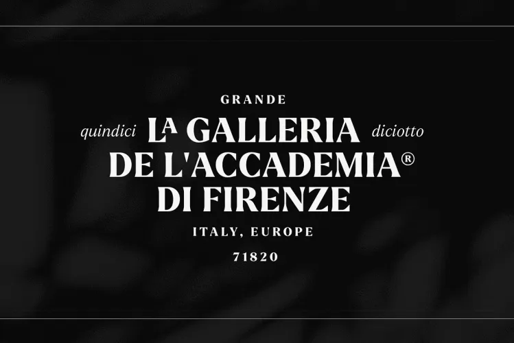 Larken Font preview 3 – Serif Fonts font sample