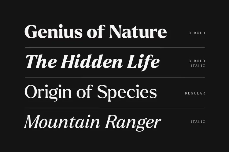 Larken Font preview 5 – Serif Fonts font sample