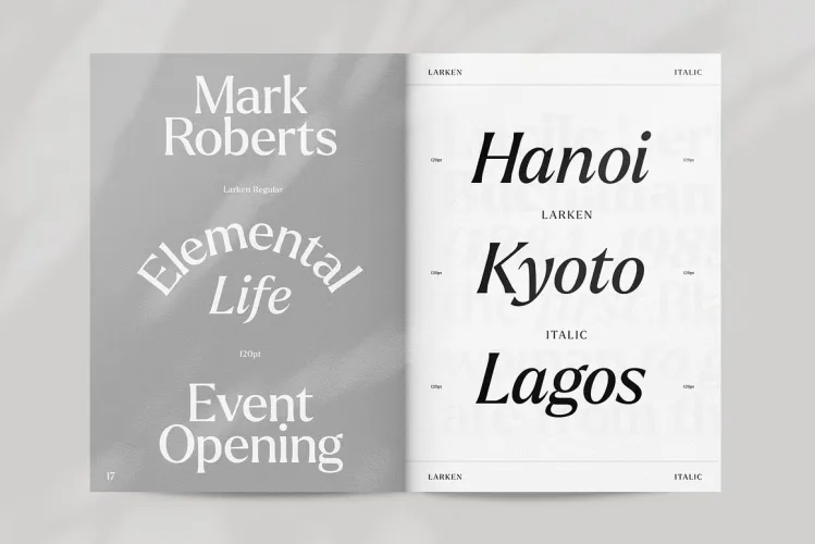 Larken Font preview 7 – Serif Fonts font sample