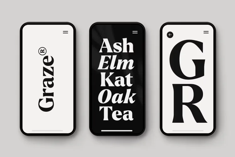 Larken Font preview 9 – Serif Fonts font sample