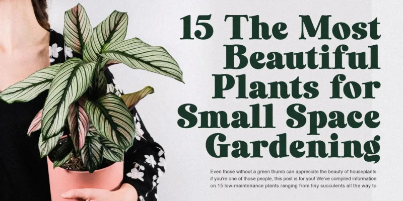 Laurens Font preview 4 – Serif Fonts font sample