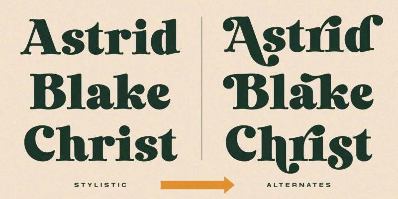 Laurens Font preview 5 – Serif Fonts font sample