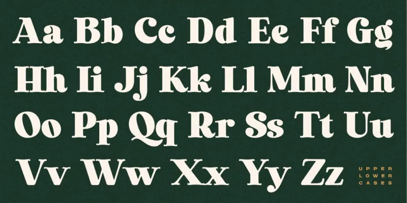 Laurens Font preview 7 – Serif Fonts font sample