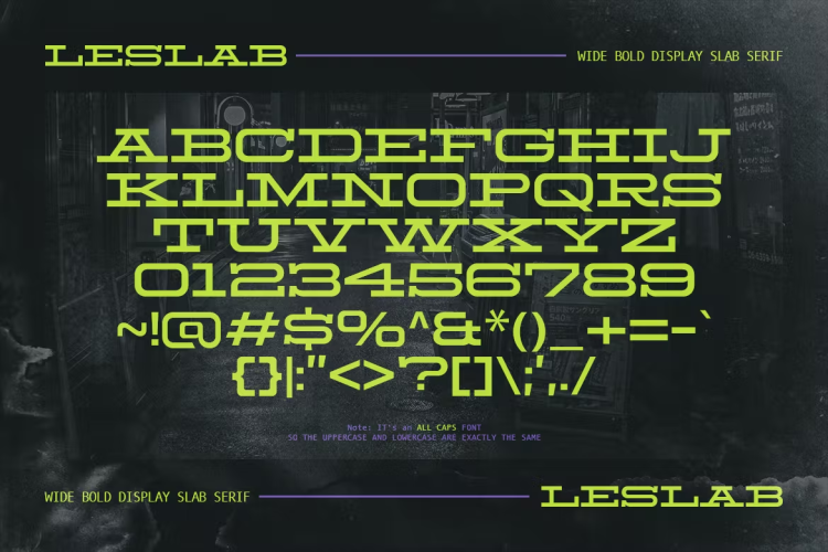 Leslab Font free download preview 2 – Serif Fonts font