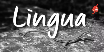 Lingua Font free download – Bold font preview