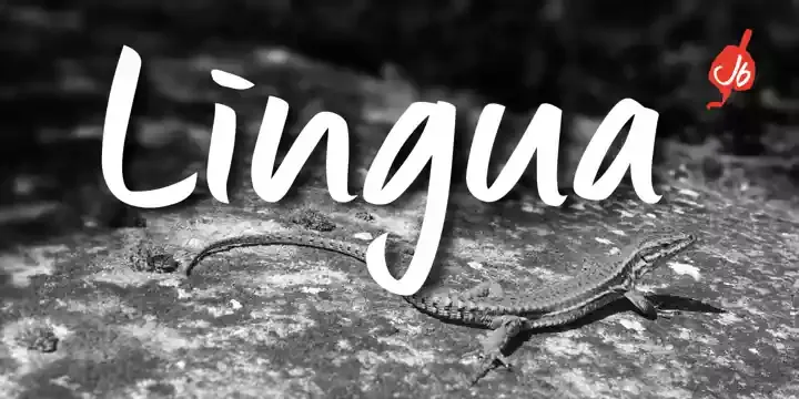 Lingua Font preview 8 – Display Fonts font sample