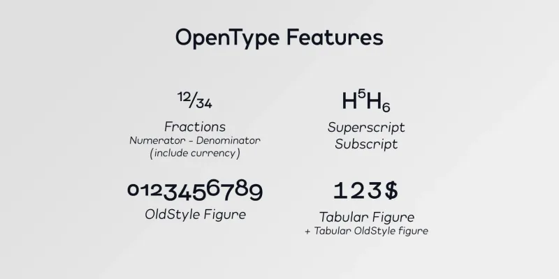 Lonie Font Family preview 2 – Sans Serif Fonts font sample