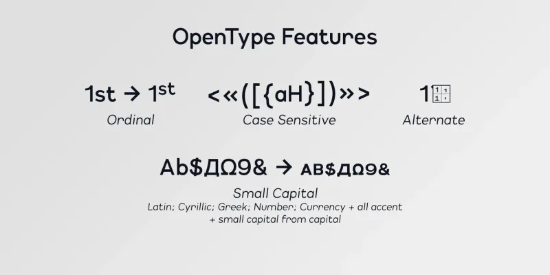 Lonie Font Family preview 4 – Sans Serif Fonts font sample